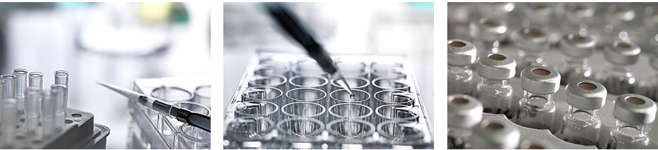 1668672976905259.png 1.png